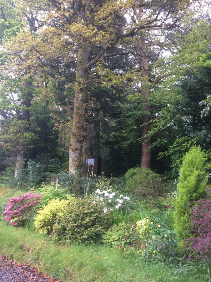 ケズィック Claremont House Keswick Bed & Breakfast エクステリア 写真